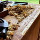 Illustration for article titled Monday Morning Woodworking Update